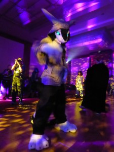 rainfurrest_2012_064   